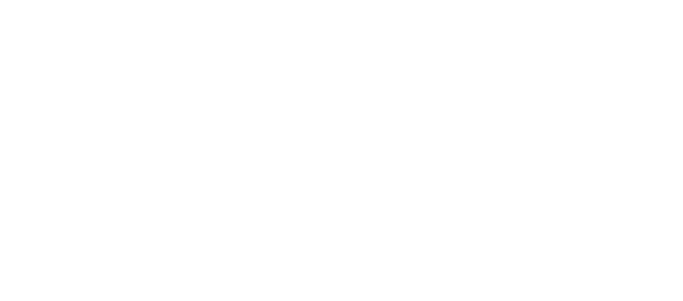 Disensa Logo Footer