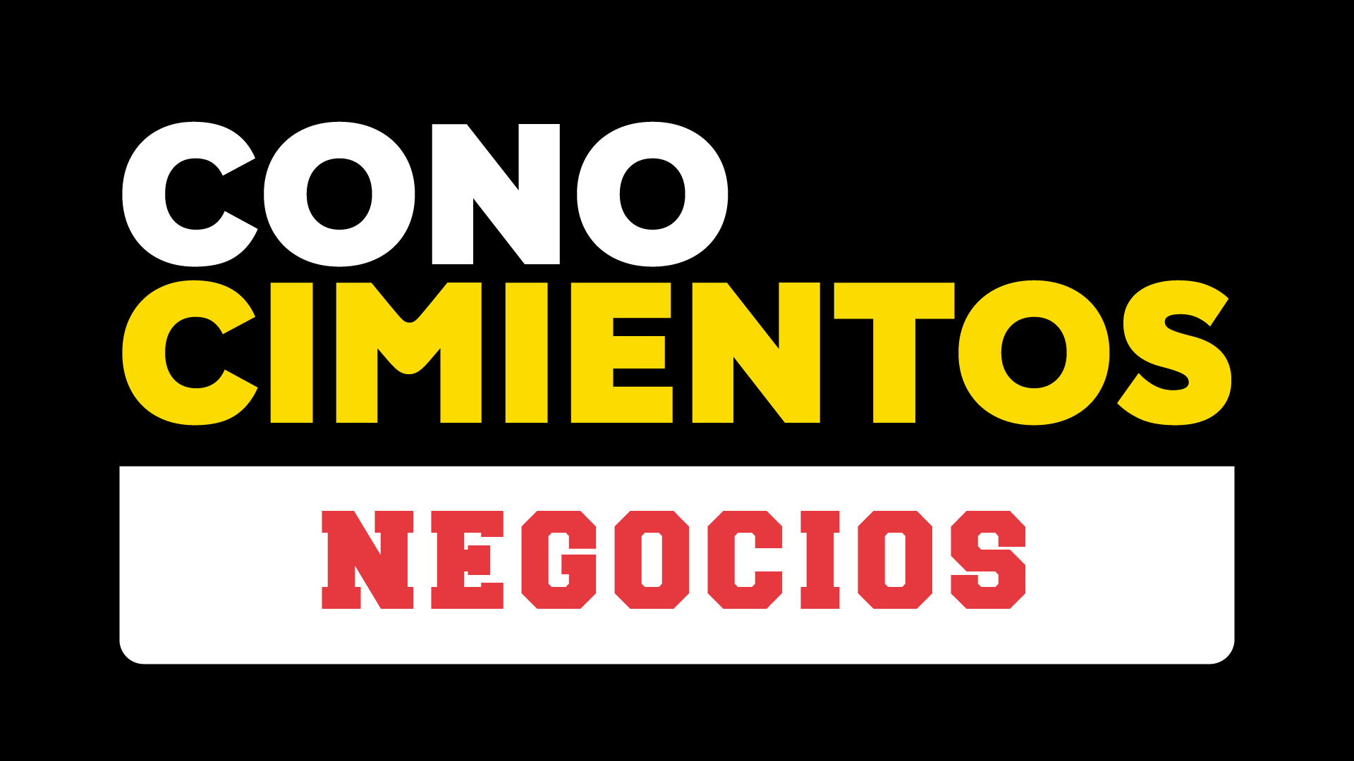 Conocimientos Negocios